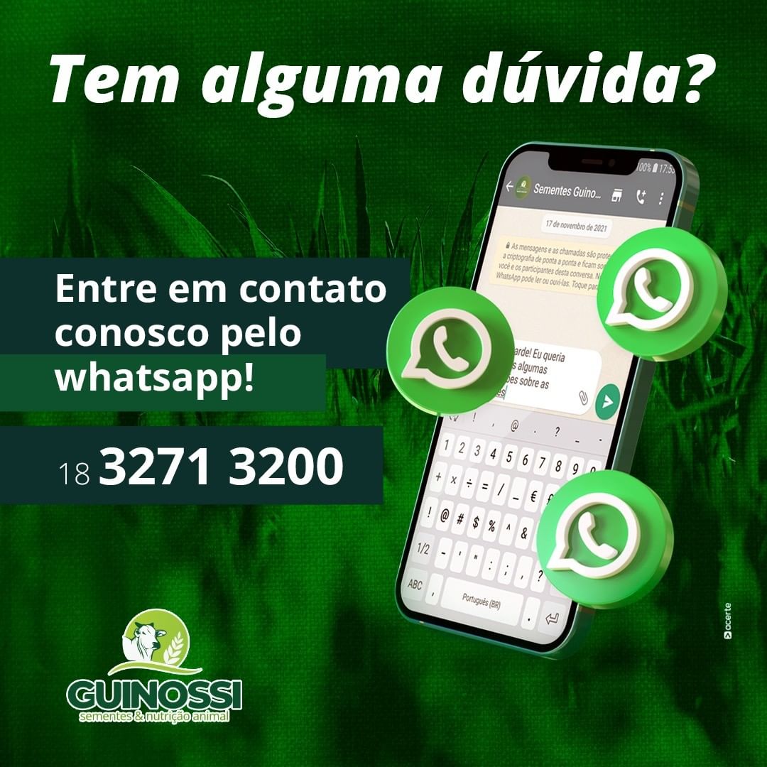 Fale pelo WhatsApp